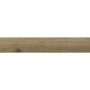 ASTURIA, Gresie Portelanata, 20,4x120,4 cm, Bej