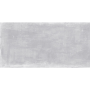 ESSENTIAL Silver, Gresie porțelanată, 60×30 cm, gri