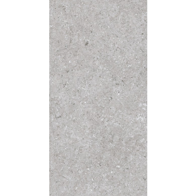 Palazzo, faianta 30×60 cm, gri